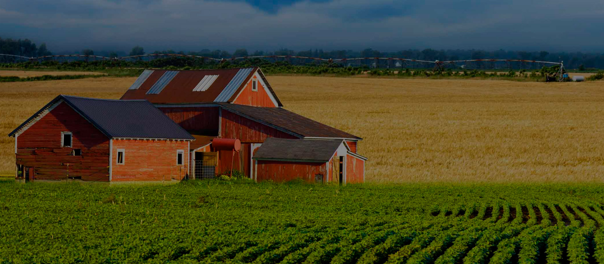Экспертиза по делу о допустимости раздела земельного участка с объектами недвижимости