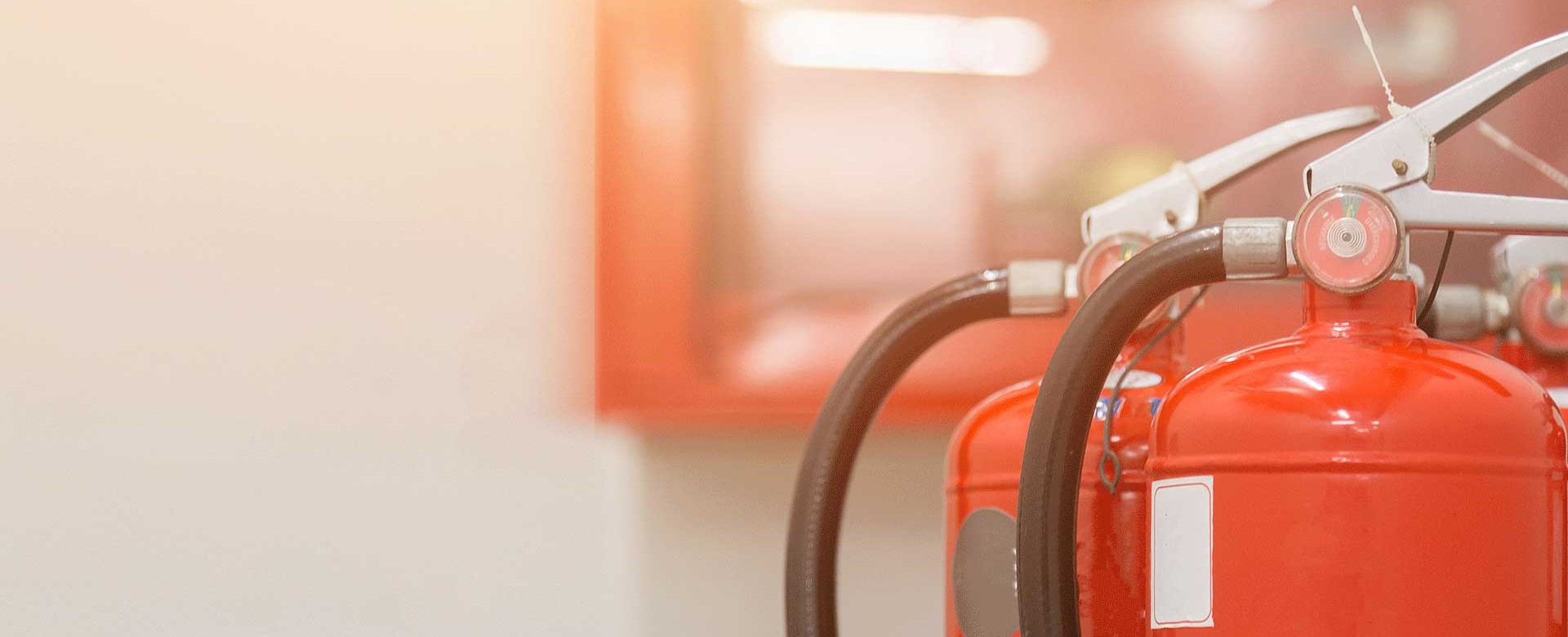 Экспертиза ущерба от пожара на дачном участке